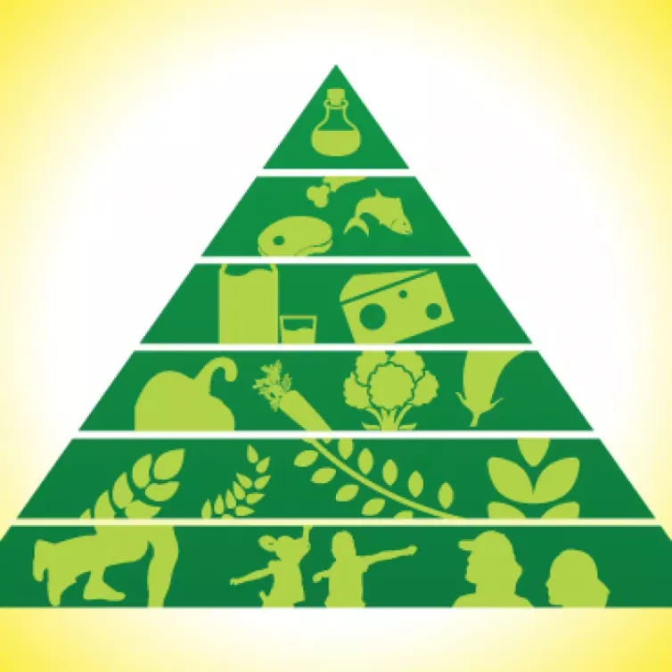 რას გვეუბნება ჯანმრთელი კვების პირამიდა?